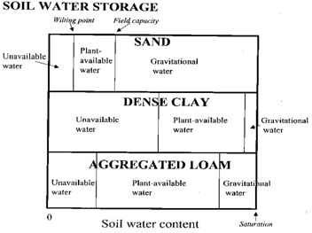 Water_Storage.tif