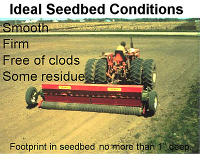ideal seedbed conditions