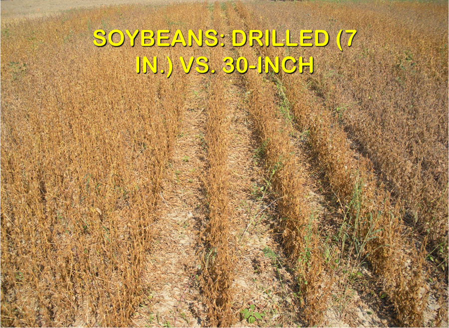 soybean row spacing