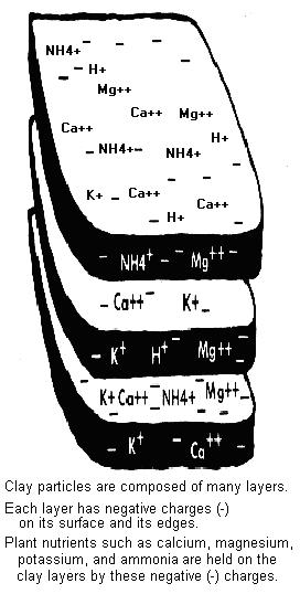 composition of nitrogen Nutrient Management