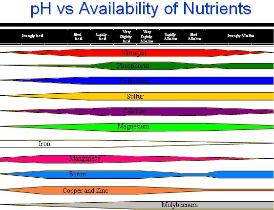 I. Introduction to Soil pH and Crop Nutrition