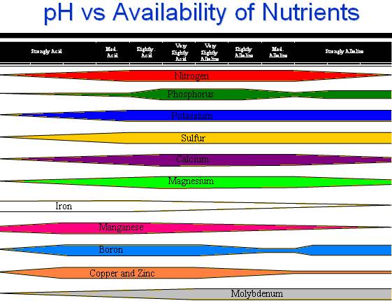 Ph And Nutrient Availability Chart