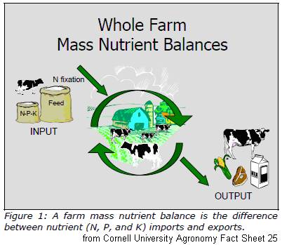 Achieving Nutrient Balance