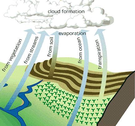 An integrated approach to cool: How evaporation and radiation can cool the  world