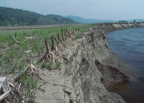 erosion streambank.jpg