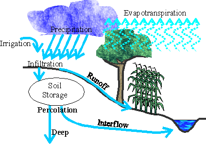 percolation water cycle definition